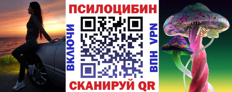 Галлюциногенные грибы Psilocybine cubensis  Мглин 